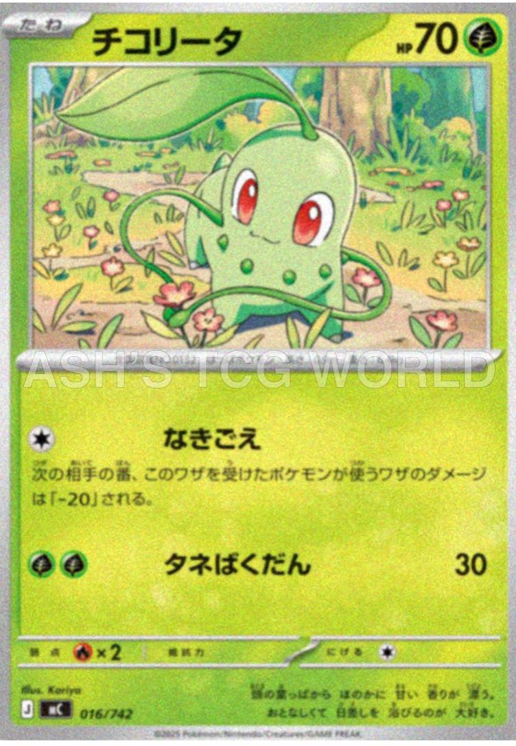 Chikorita